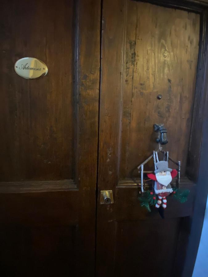 Artemisia Apartman Pisa Kültér fotó